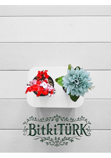 Bitkitürk- 2li Seramik Saksıda Yapay Çiçek Ofis Cafe Salon
