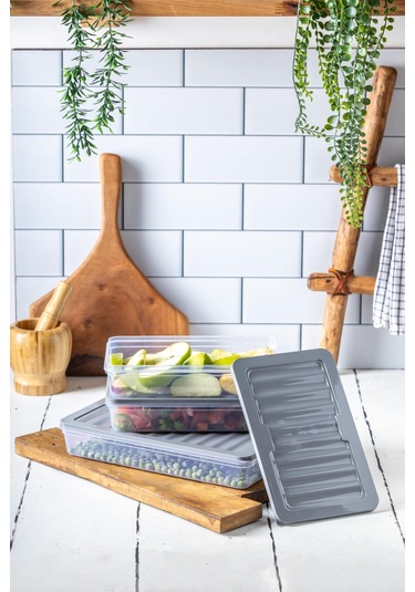 Ny Home 3'lü Set-4 Freshbox Mikrodalga Ve Difrize Uygun Saklama Kabı Gri