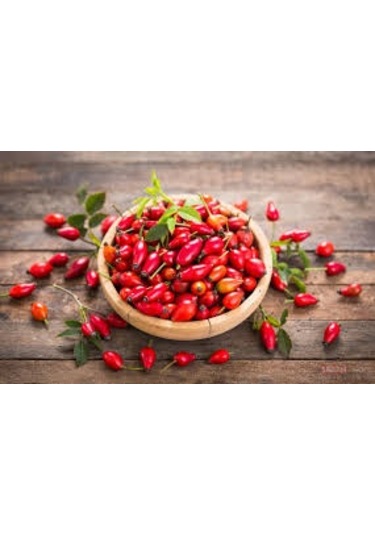 Kuşburnu Tohumu Tohumu Ekim Seti 5 Tohum + Saksı + Toprak