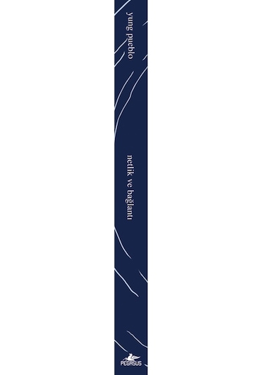 Netlik Ve Bağlantı - İçindeki Evren Üçlemesi 2. Kitap Yung Pueblo
