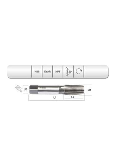 Evar Hss Usa.std. 1/16 Konik Npt 3/4 "x1