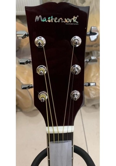 Elektro Akustik Gitar