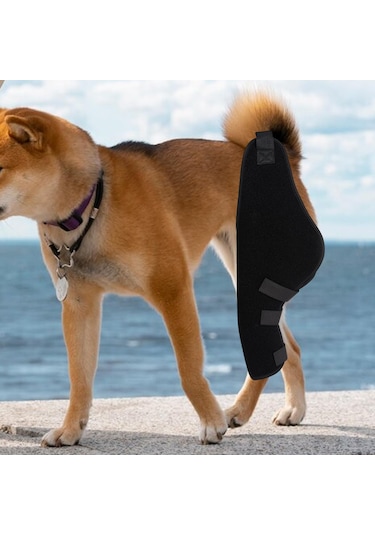 Homyl Köpek Dizlik Pet Dirsek Koruyucu Ped Burkulma Sol-arka