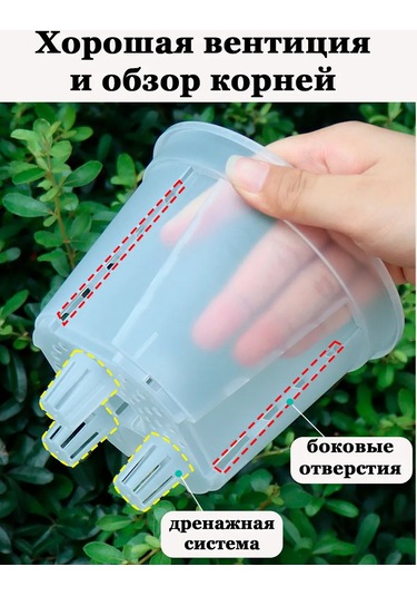 Saburg Tabandan Sulamalı Orkide Saksısı 2 Ad 368352992