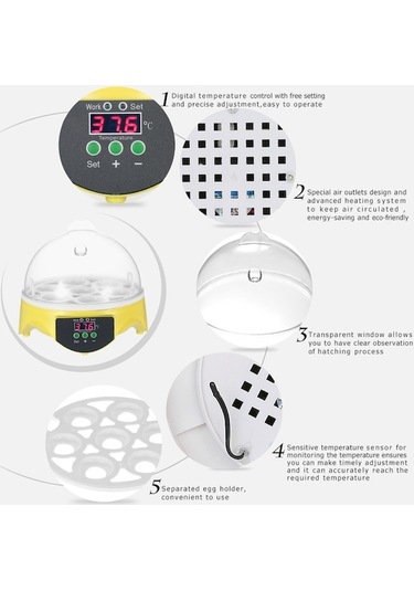 Diğer Yumurta Yumurta Yumurta Şeffaf Mini Makinesi Makinesi Makinesi Maki Kuluçka Kuluçka Kuluçka Kuluçka Dijital Kx