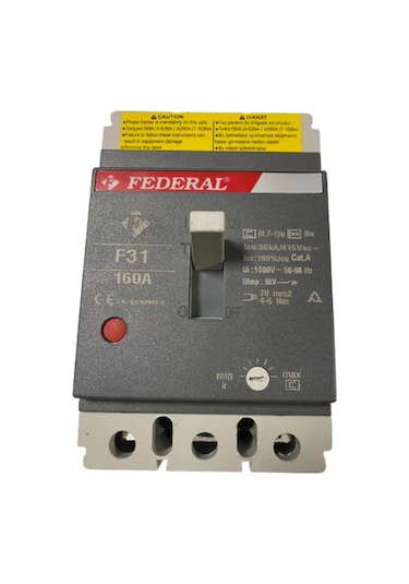 Federal F31 160A Ayar Sahalı Kompakt Şalter