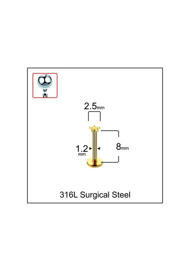 316 L Cerrahi Çelik Yıldız Modeli Dudak Kıkırdak Helix Tragus Piercingi Altın
