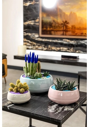 Dekoratif Aranjman Saksı Kaktüs Sukulent Çiçek Saksısı 0,86 Lt - Gül Kurusu