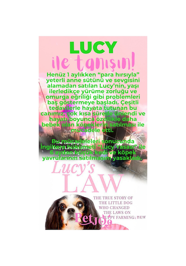 Petjoo 11.Lucy Pembe-Yeşil Qr'lı Köpek Künyesi