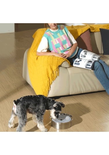 Ecronicword Paslanmaz Çelik Evcil Hayvan Su Kabı Kediler Köpekler 2.5l W13