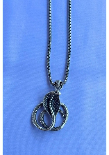 Kobra Yılanı El İşçiliği Paslanmaz Çelik Zincir Erkek Kolye Gümüş