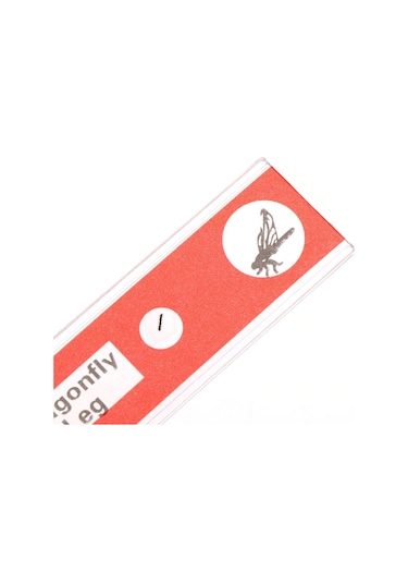 Ece 12'Li Mikroskop Slayt Seti Preparat Seti Başlangıç Karma