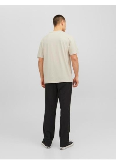 Jack&jones Orıgınals Jorvesterbro Tee Ss Crew Neck Erkek T-shirt Moonbeam Çok Renkli