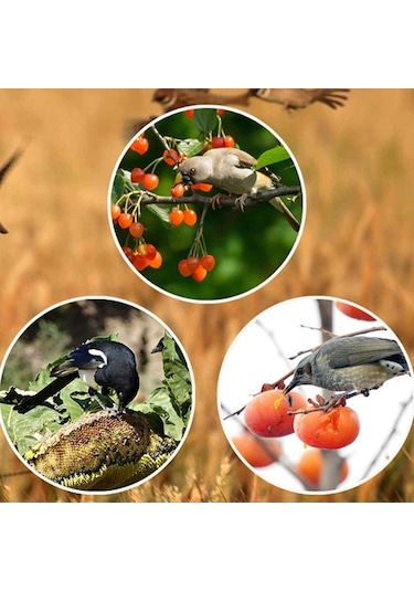 Vkemall Güneş Enerjili N911q Kuş Ve Hayvan Kovucu - Gündüz Zamanlı Ses Ve Işık Sistemi - Bahçe, Havuz, Tarlalar İçin Siyah