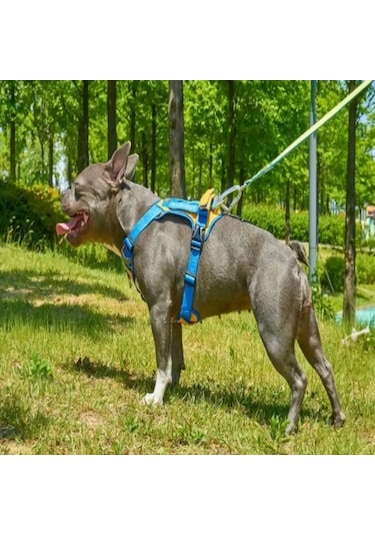 Interlaken Harness Köpek Göğüs Tasması Kırmızı Bej L Bej - Kırmızı