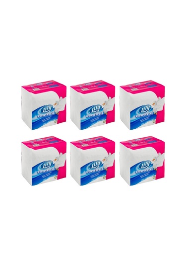 Lily Tombul Peçete 100 Lü X 6 Adet