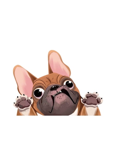 1 Adet Köpek Araba Sticker Komik Yüz Büyük Kulaklar Ve Gözler Pug Köpek Sticker Araba Arka Pencere Duvar Kapı Dizüstü Bilgisayar 8.7 6.3in Sarı