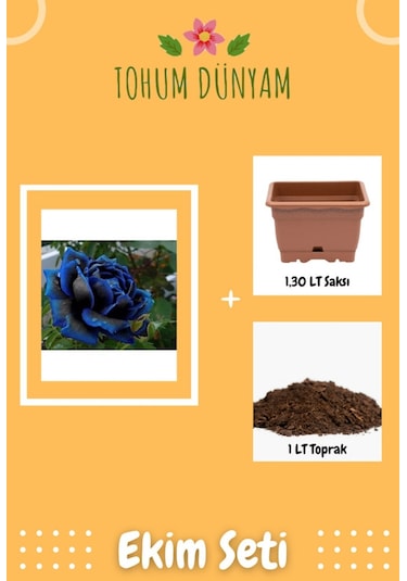 Nadir Otantik Siyah Gül Tohumu Ekim Seti