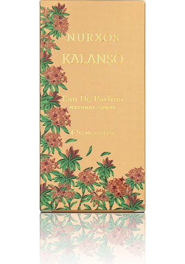 Nurxos 9708 Kalanşo EDP Erkek Parfümü 8681124697080 65 ML