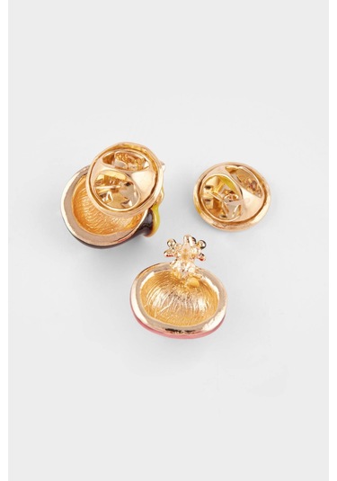 Defacto Kadın 3lü Meyve Figürlü Broş F9193axnskr1 Çok Renkli