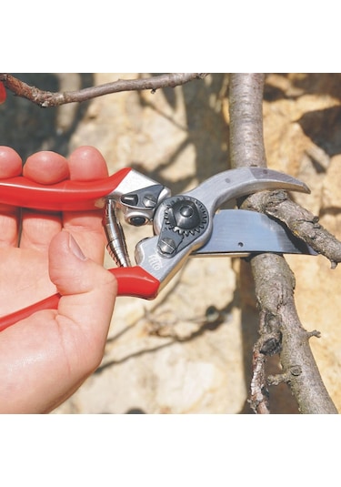 Geeksen "felco-2 Bahçe Makası - 215 Mm Profesyonel Budama Makası"