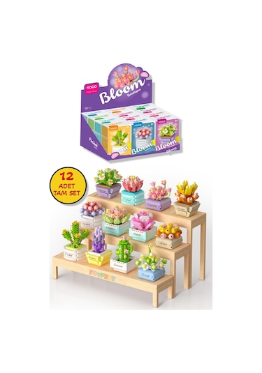 Koco Saksı Çiçekleri Sukulent Serisi 3d Puzzle Koleksiyon Tam Set - 12 Adet