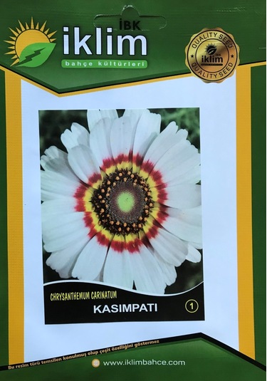 Kasımpatı Çiçeği Tohumu1 Beyaz Takribi 20 Adet Tohum N112846