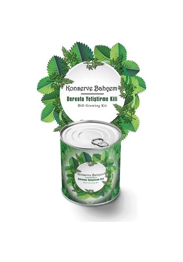 Buffer Konserve Bahçem Evde Konservede Dereotu Yetiştirme Kiti Aparatı Mavi