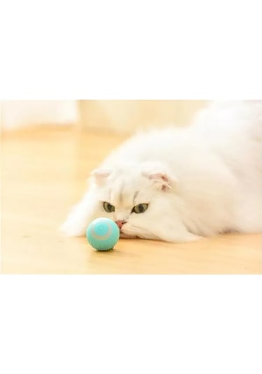 River World Köpekler İçin Akıllı İnteraktif Oyuncak