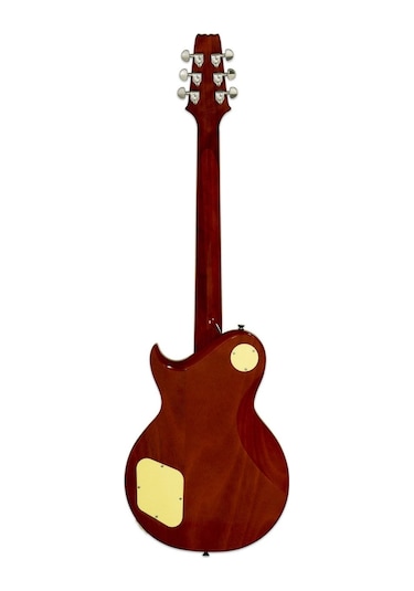 Aria Pro Iı Pe350pgagld Elektro Gitar Hh Rw