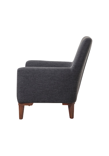 Liones Berjer Antrasit 70x76x93 Cm Vizon