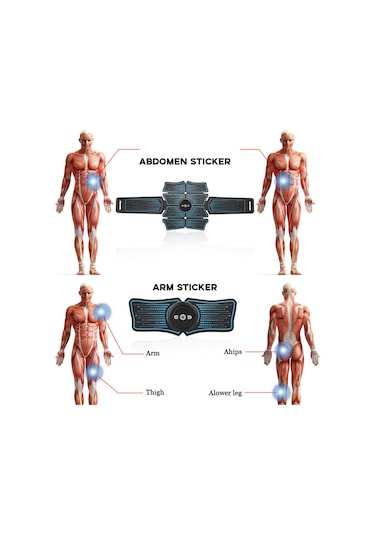 Leezsing Kas Eğitmeni Karın Kası Elektrostimülasyon Çok Fonksiyonlu Fitness Aksesuarları Abs Şekillendirici Masaj Pedi Ev Spor Salonu Karın Kol Bacak Mas-614 Çok Renkli