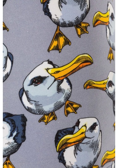 Farm Animals Seagull Desenli Boxer Çok Renkli