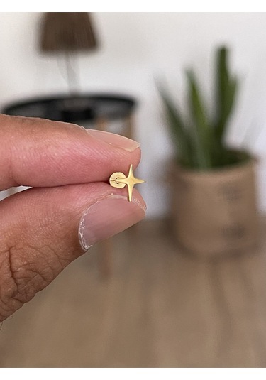 316 L Cerrahi Çelik Tragus Helix Kıkırdak Conch Minimal Kutup Yıldızı Piercing Gold