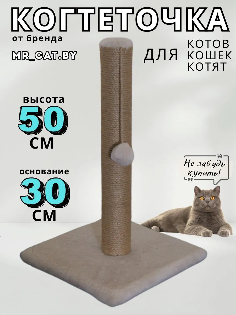 Mr Cat Tırmalama Kazığı Kulesi 148071817