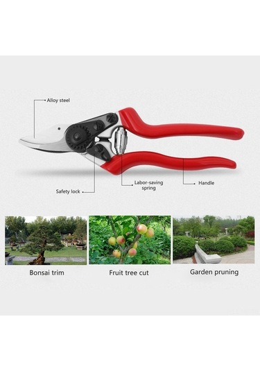 Pazly Tian Tayvan Sakawa Sagawata Meyve Makası Makası Gözdesi Budama Bahçe Amazon'un Ağaçları 7005 7005 Qj