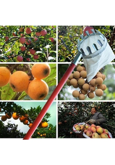 Veta Meyve Toplama Aparatı ve Sepeti Sapsız