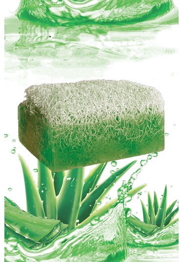 Dev Banyo Lifi Doğal Aloevera Sabunlu Set