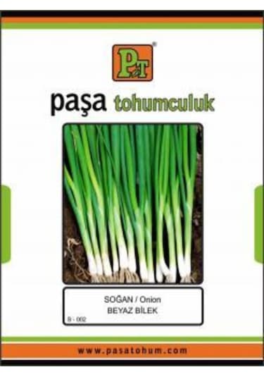 Soğan - Beyaz Bilek - 10 Gr Taze Soğan 8