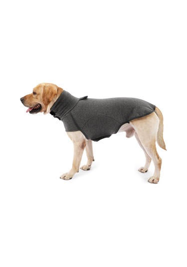 Vkemall Köpekler İçin Kışlık Isı Sağlayan Yünlü İç Katlı Turtleneck Triko - Gri - Beden L Ya002m031