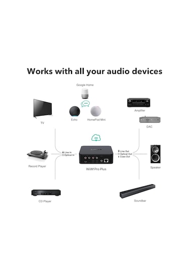 Wiim Pro Plus Network Streamer