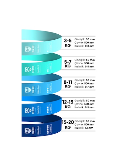 7li Mega Set 35+45 Kg + 5li Pilates Direnç Bandı Barfiks Lastiği Loop Band Mavi Ton Çok Renkli