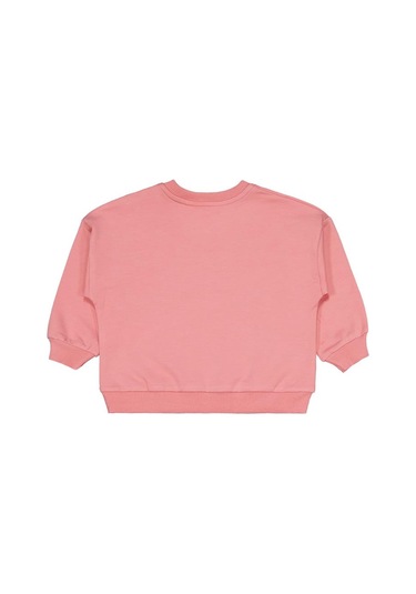 Civil Baby Ayıcık Baskılı 3'lü Set 6-18 Ay Sweatshirt - Standart