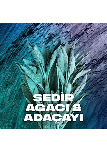 Axe Erkek Apollo Sprey Deodorant 3 x 200 ML