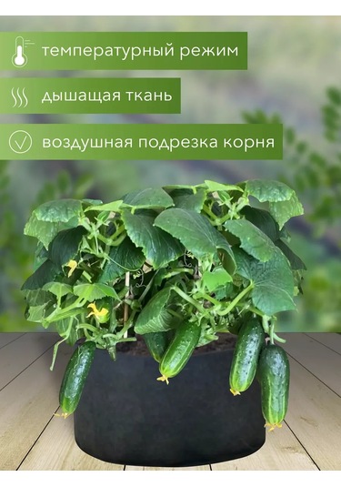 Umnyj Sad Bitkiler Ve Fide İçin 235 Litre Tekstil Saksı 192225365