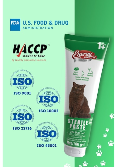 Energy Paste Kısırlaştırılmış Kediler İçin Yüksek İçerikli 100 G