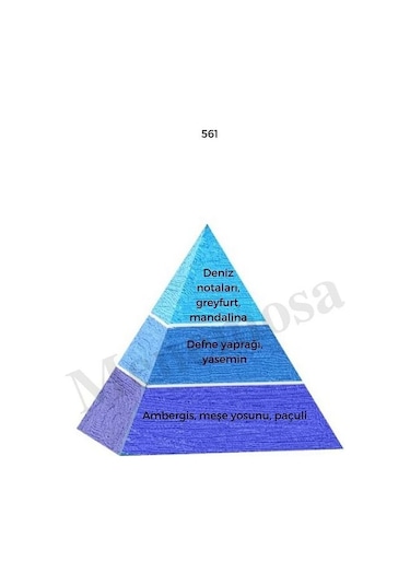 Bargello 561 Erkek Parfüm EDP 50 ML Fresh / Body Mist No:561 Erkek Edt 210 Diğer