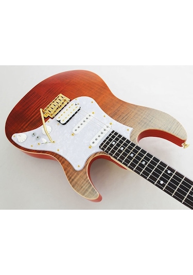 Fujigen Odyssey Elektro Gitar Eosfmrrkg