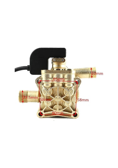 Padalink Metal 20mpa 550l/h Su Pompası: Araba Yıkama, Bahçe Sulama, Depo Suyu Taşıma, 600-2500w, Altın+siyah