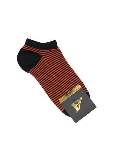 5'Li Paket Lacivert Üzeri Renkli Çizgili Kadın Patik Çorap Lacivert